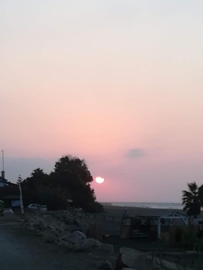 Casa Toro Playa Holiday home